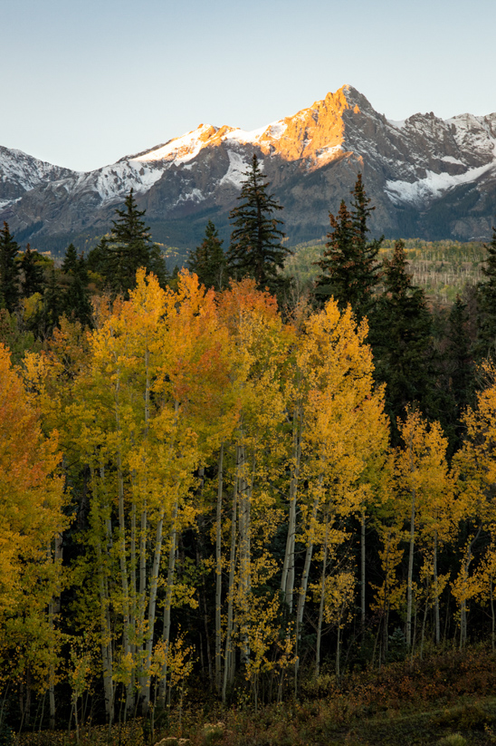 D85_0820