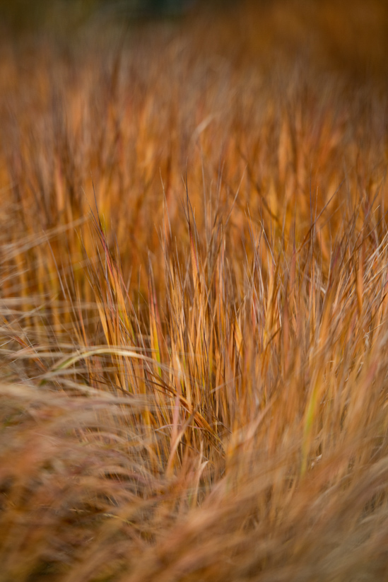 D85_2340